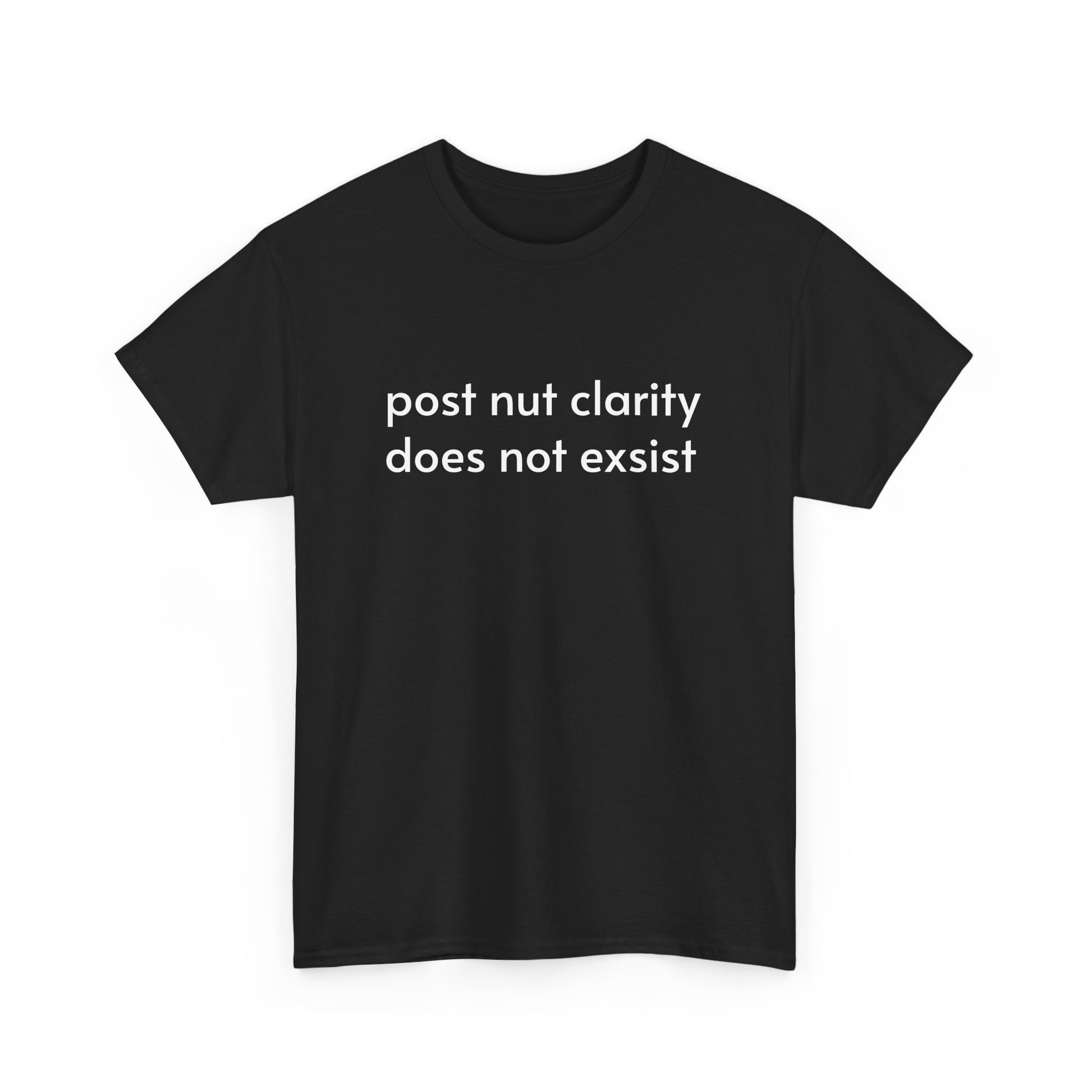 Unisex Heavy Cotton Tee - Post Nut Clarity